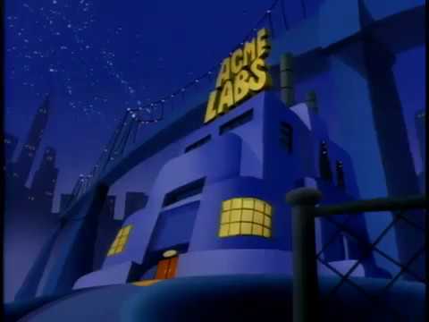 Pinky and the Brain Intro song