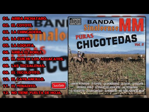 BANDA SINALOENSE MM PURAS CHICOTEADAS VOL.  2