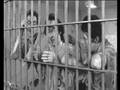 Down by Law clip
