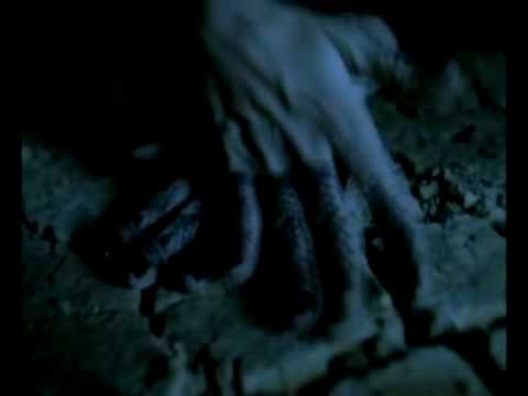 Kaskade -- Empty Streets feat. Becky Jean Williams (Extended Remix) Video Edit Leo Pop