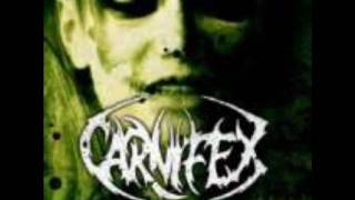 adornment of the sickened - carnifex