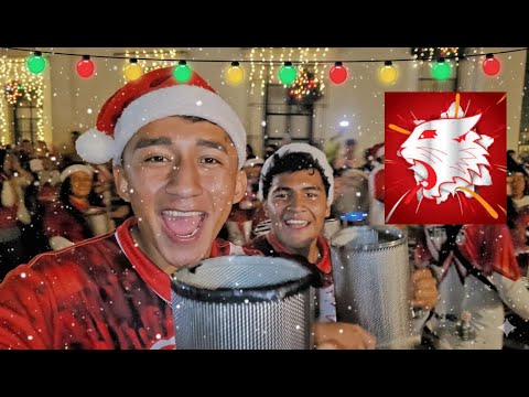 Liceo Latino WHITE TIGER "Tigres Blancos Latin Band"| Antigua Guatemala 2025