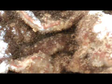 Wundervolle Fundstücke aus Quarz