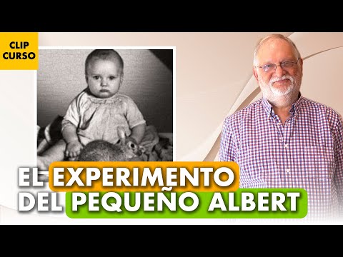 🐭 El EXPERIMENTO del PEQUEÑO ALBERT: ¿generando fobias a un bebé? 🤯 - Santiago Benjumea