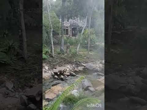Pousada da água quente. Felício dos Santos MG .