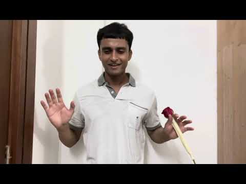 Aroh Gulab ka phoolâ€¦ðŸŒ¹