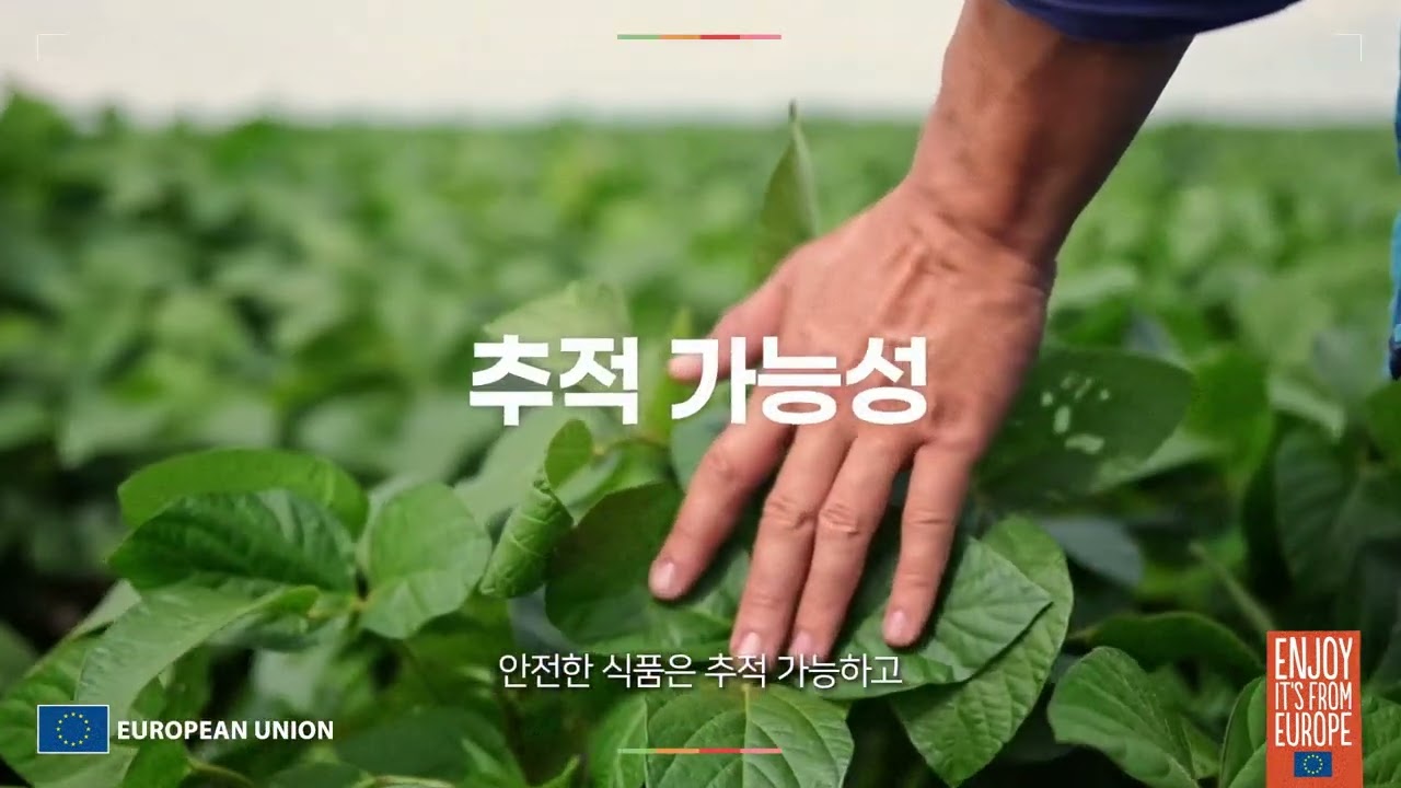 EU Food: Safety & Care at Every Stage    유럽연합(EU) 식품: 엄격한 생산 관리로 안전한 식품