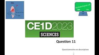 CE1D 2023 Sciences - question 11