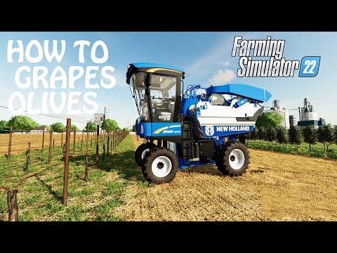 HOW TO MAKE GRAPES & OLIVES in Farming Simulator 2022 | You Have to Plant them | FS22 | PS4 | PS5