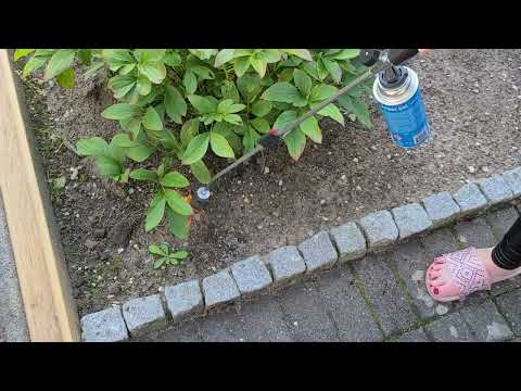 Unkraut wegbrennen Tutorial