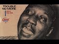 Muddy Waters - Take the Bitter With the Sweet (ft. James Cotton on harmonica) - Into the Music Muddy Waters - Take the Bitter With the Sweet (ft. James Cotton on harmonica)