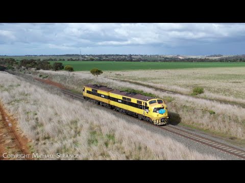 D641V SSR GM10 & GM22 Light Engines (28/7/2022) - PoathTV Australian Trains & Railways