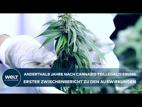 DEUTSCHLAND: Cannabis-Gesetz auf dem Prüfstand - Regierung legt ersten Evaluationsbericht vor