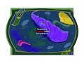 Map Season 1 Episode 1 Effects In G Major 7