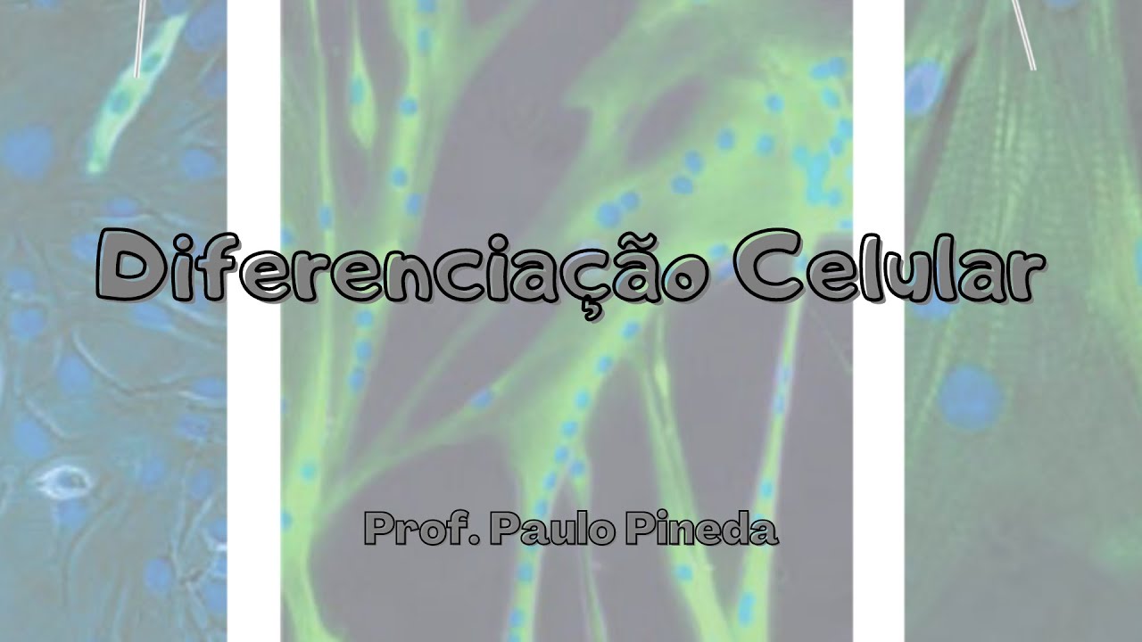 Citologia - Diferenciação celular