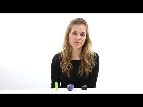 Blue Haze by ILGM Strain Review