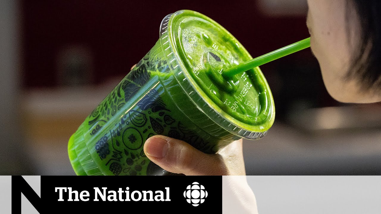 Not all compostable plastics are created equal