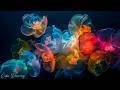 Jellyfish Aquarium • Healing of Insomnia, Stress, Anxiety and Depression • MELATONIN RELEASE #46