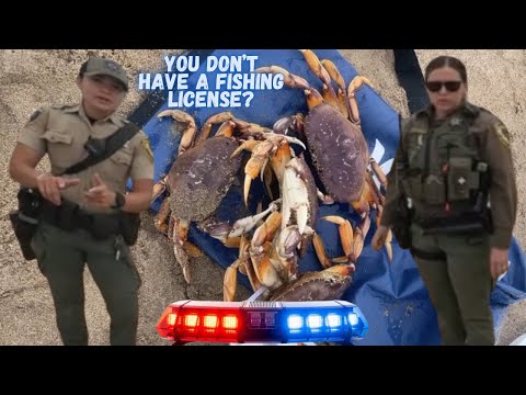 DFG CAUGHT HIM WITH ALOT OF DUNGENESS CRABS!￼  #2025  #shorts #viral #foryou #love #ytshorts #yt 