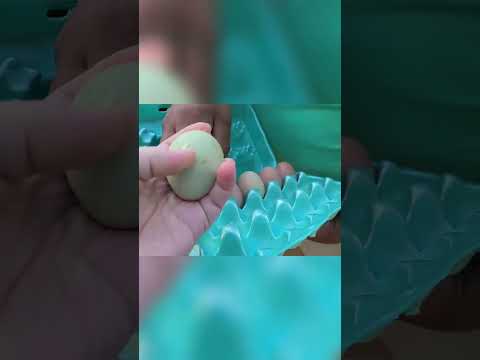 The Ultimate Guide to Perfectly Cooked Eggs  Tips and Tricks