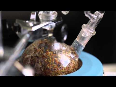 Vídeo: Técnica de destilación por arrastre con vapor