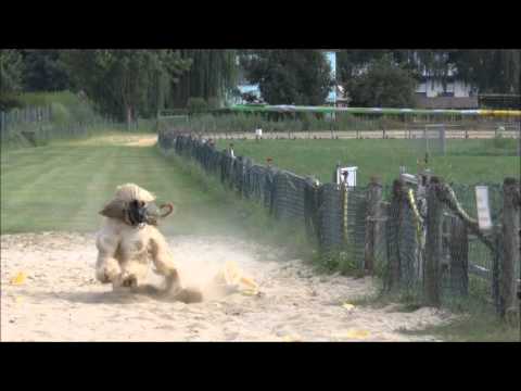 Training Bürgel 17 08 2013