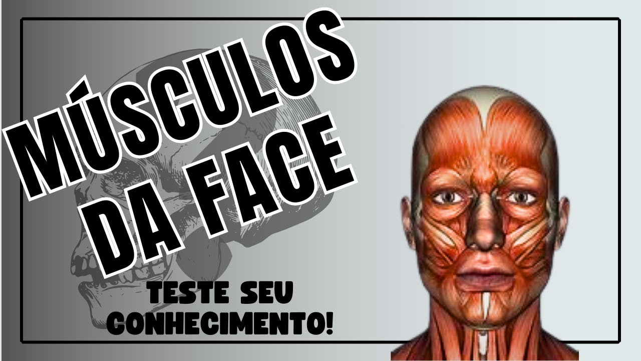 Músculos da Face  - Corpo Quiz