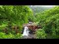 Beauty Of Polo Forest Gujarat Tourism