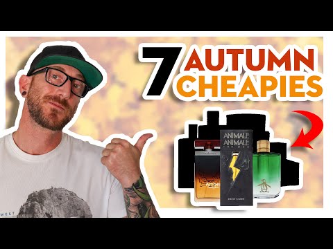 7 CHEAP Fall Fragrances For Under $30 | Men's Fragrance Review