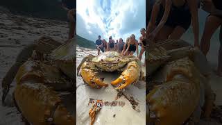 Download lagu US Wildlife Evolution – Ant to Alligator in 4K! mp3 Download lagu US Wildlife Evolution – Ant to Alligator in 4K! mp3