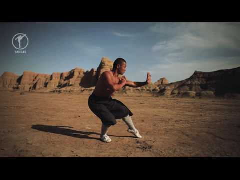 Shaolin 5 Fundamental Stances