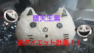 ハリネズミ9人と人間1人の逆ダイエット計画！！