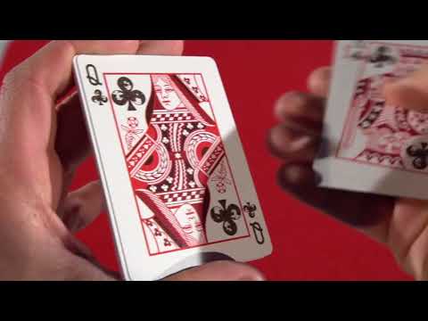 Voir la vidéo du Bicycle Koi