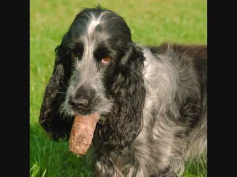 pos imouna pos egina.wmv