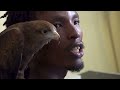 Bizna Kenya 8 Video thumbnail