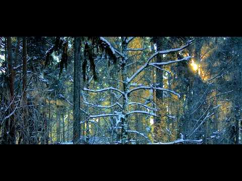 Сдается дом в дп Загорянский