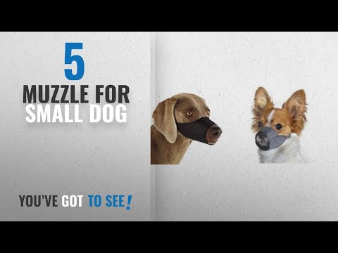 Top 5 Muzzle For Small Dog [2018 Best Sellers]: Small Quick Fit Dog Muzzle, Size 1, fit snout size