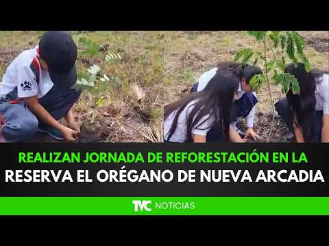 Realizan jornada de reforestación en la reserva El Orégano de Nueva Arcadia