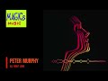 Peter Murphy - All Night Long HQ