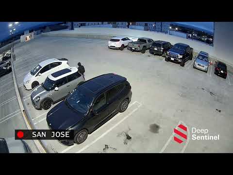 Parking Lot Security: Real-Time Car Break-ins Stopped | Deep Sentinel Interventions