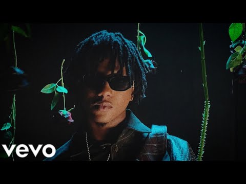 Luis Brown - LA NIÑA 👧🏽 (Oficial Video) | x Lil Jayankhalino