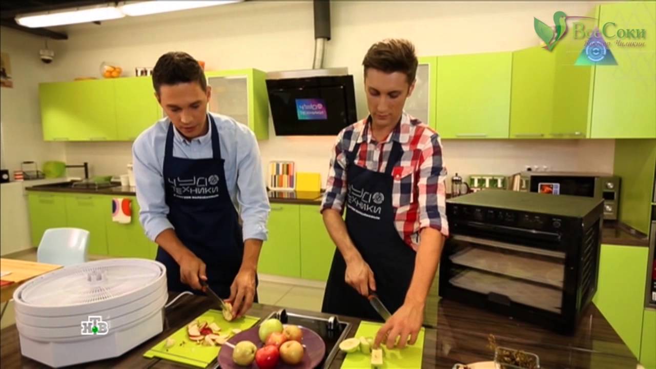 Дегидратор Tribest Sedona Combo SD-S9150 (металл. лотки)