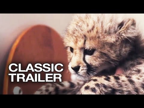Duma (2005) Official Trailer #1 - Cheetah Movie HD