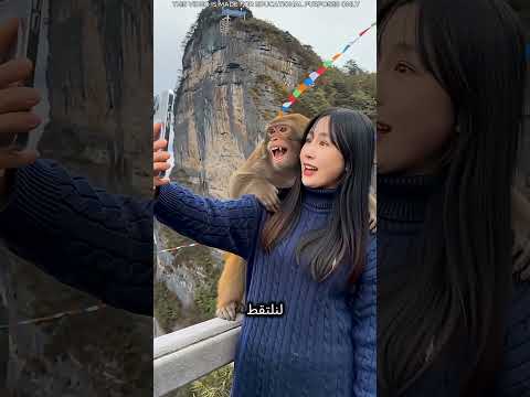 سيلفي مقابل 500 روبية… مقلب مضحك يوقع الجميع في الفخ! 😂📱