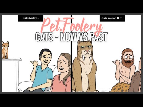 Modern Cats VS Stone Age Cats - Funny Pet Comics | Pet_Foolery Comic Dub