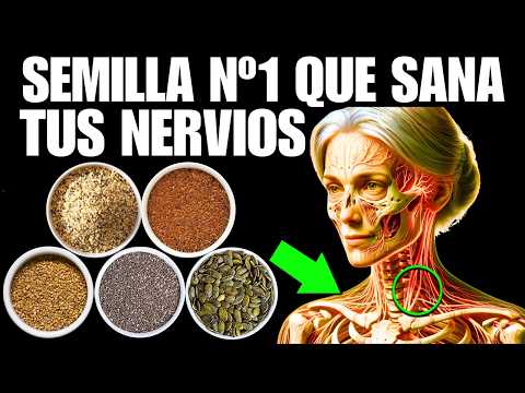 5 SÚPER SEMILLAS Que MEJORAN tus NERVIOS (Cómo Tomarlas)