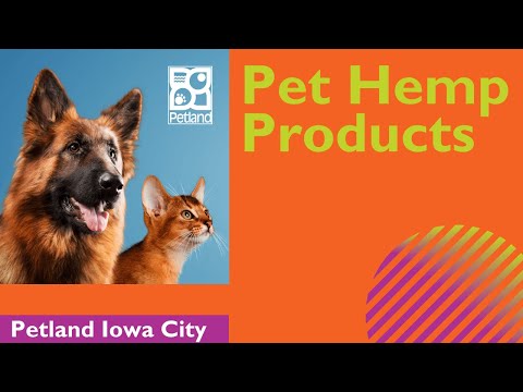 Dog & Cat Hemp Products