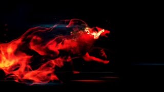 Download lagu My New Wolf Phoenix Intro || Full Tutorial On Next Video|| mp3 Download lagu My New Wolf Phoenix Intro || Full Tutorial On Next Video|| mp3