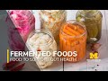 Foods to Support Gut Health Series: Fermented Foods