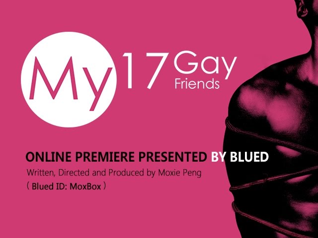 My 17 Gay Friends - HD